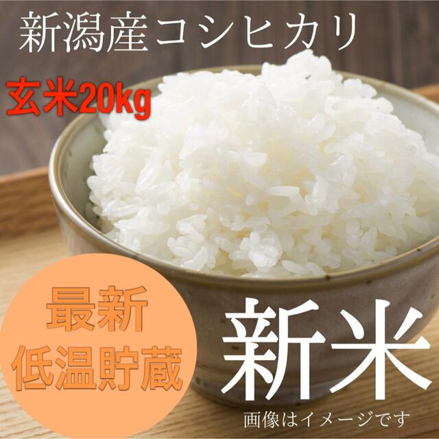 低温保存】新潟県長岡産令和3年度コシヒカリ20キロ玄米【精米無料】　米/穀物