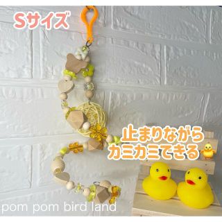 *100*天然素材くるくるパーチボール♡Sサイズ♡小鳥さんのハンドメイドトイ(鳥)