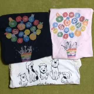 チャリティーTシャツ　3枚セット　Sサイズ　(SORAアニマルシェルター)(Tシャツ(半袖/袖なし))