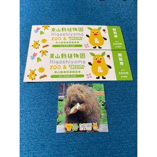 東山動植物園のチケット  大人¥500×2枚(動物園)