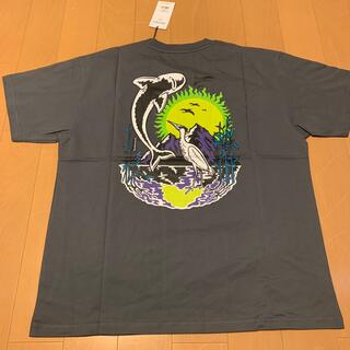 ポラール(POLAR)のPolar Skate Co. ポーラー MT.FUJI Tシャツ L(Tシャツ/カットソー(半袖/袖なし))