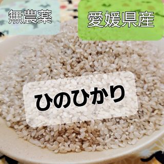愛媛県産★ひのひかり玄米★1.9kg(米/穀物)