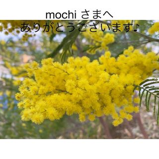 mochiさまへ　ご依頼のページです(その他)