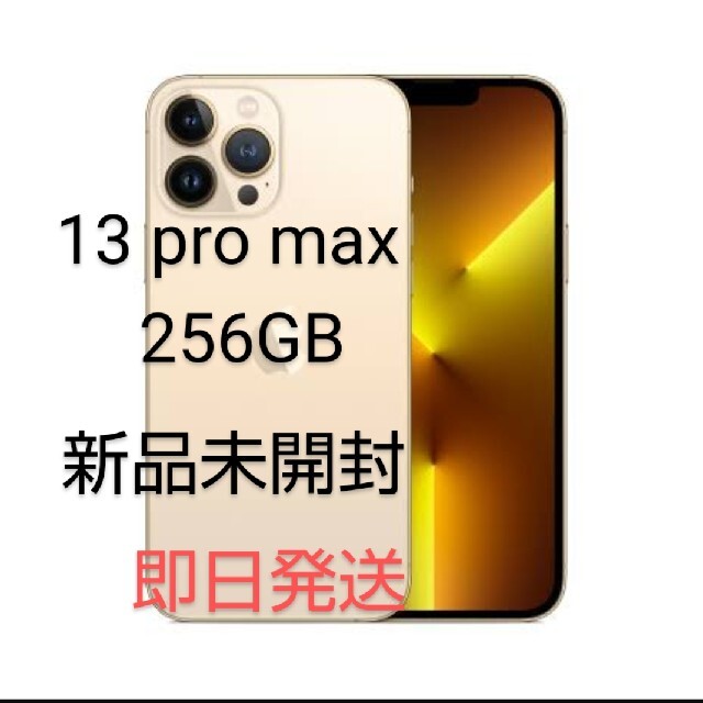 iPhone - iPhone13 pro max 256GB
