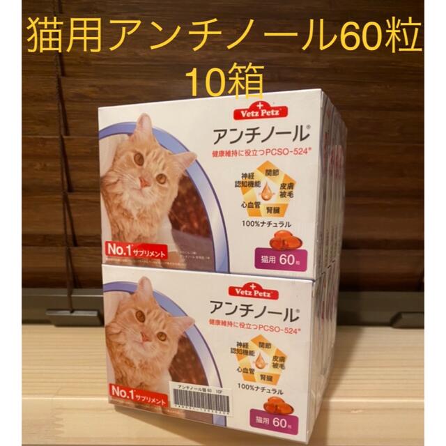 猫用アンチノール60粒入り新品未開封10箱