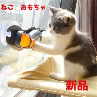 ねこ　おもちゃ(猫)