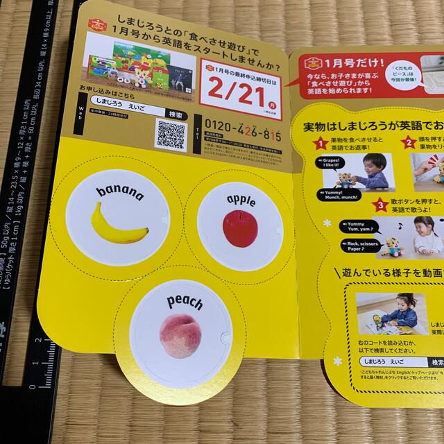 Benesse - こどもちゃれんじ イングリッシュ 体験見本 しまじろう 英語
