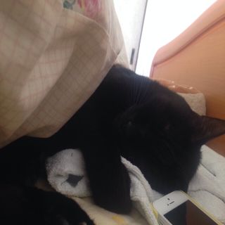 えみ様専用(その他)