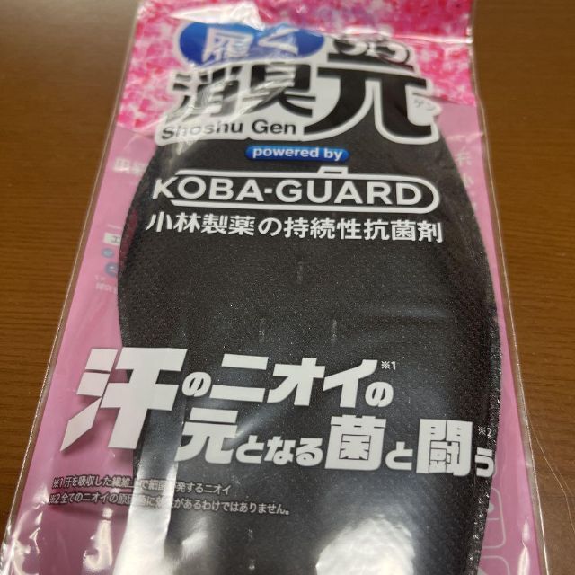 小林製薬(コバヤシセイヤク)の【新品】小林製薬　履く消臭元インソール女性用フリー レディースの靴/シューズ(その他)の商品写真