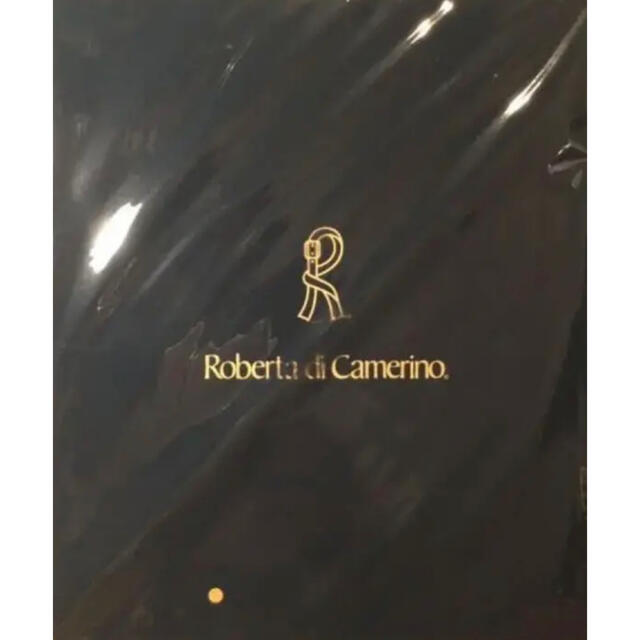 ROBERTA DI CAMERINO(ロベルタディカメリーノ)の大人のおしゃれ手帖 5月号付録 レディースのバッグ(トートバッグ)の商品写真