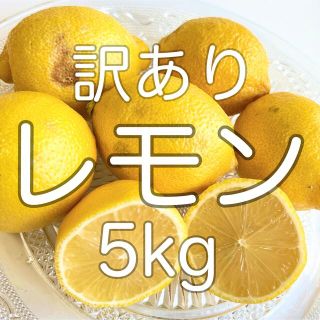 訳あり レモン 箱込み5kg(フルーツ)