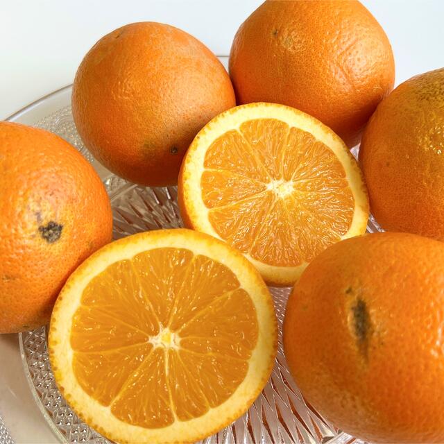 訳あり レモン&オレンジ 箱込み3kg 食品/飲料/酒の食品(フルーツ)の商品写真