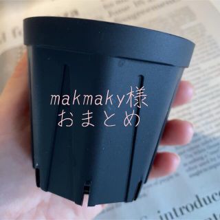 makmaky様おまとめ★スリット鉢(プランター)