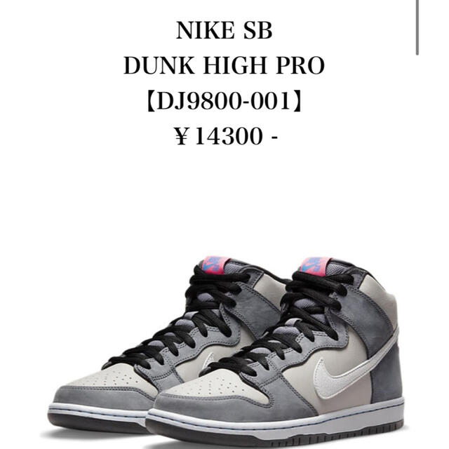 NIKE SB DUNK HIGH PRO 【DJ9800-001】27.5cm