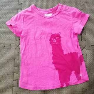 ハッカキッズ(hakka kids)のオレンジハッカ　アルパカTシャツ(Tシャツ/カットソー)