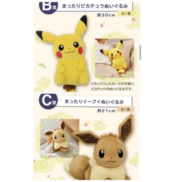 ポケモンぬいぐるみ　ピカチュウイーブイセット