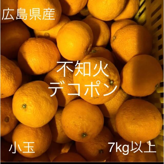 広島県産　不知火　デコポン　小玉　7kg以上 食品/飲料/酒の食品(フルーツ)の商品写真