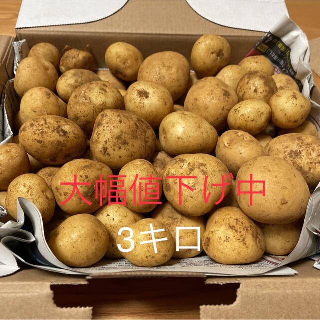 子玉 3キロ 産地直送　徳之島 産　馬鈴薯　ジャガイモ　新 じゃがいも　 食品/飲料/酒の食品(野菜)の商品写真