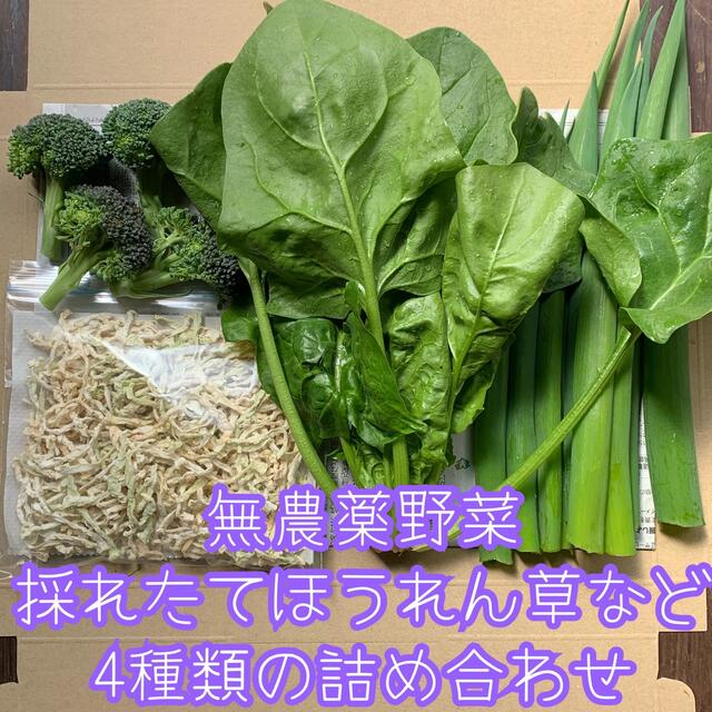 お値下げ✨無農薬野菜＊4種類の詰め合わせ＊野菜セット＊ネコポス＊ほうれん草など＊ 食品/飲料/酒の食品(野菜)の商品写真