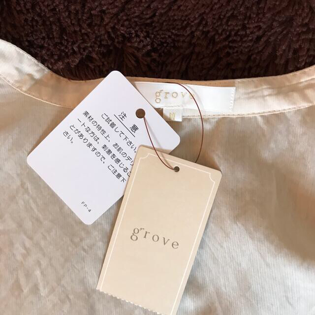 grove(グローブ)のシアーワンピース レディースのワンピース(ロングワンピース/マキシワンピース)の商品写真