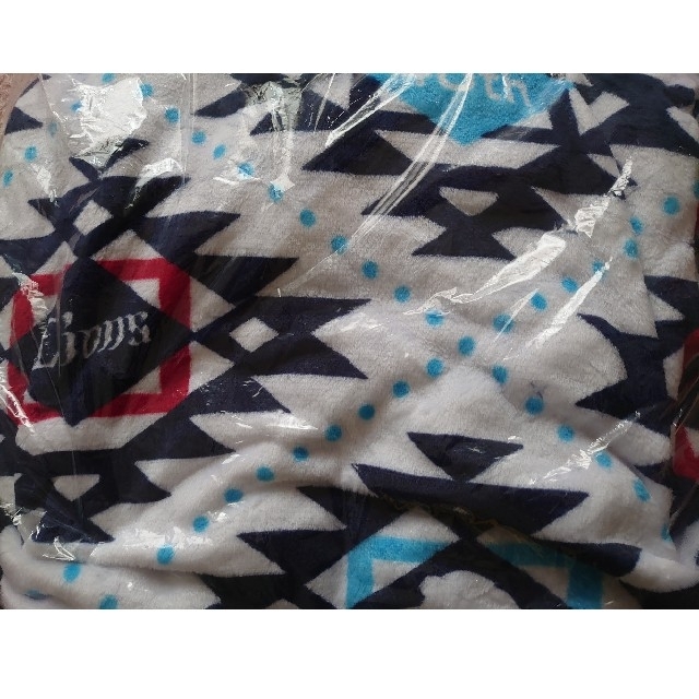 埼玉西武ライオンズ(サイタマセイブライオンズ)のライオンズ 着る毛布 2つ スポーツ/アウトドアの野球(応援グッズ)の商品写真