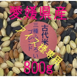 アイス様専用　古代米3種ふぞろいブレンド　愛媛県産　800ｇ(米/穀物)