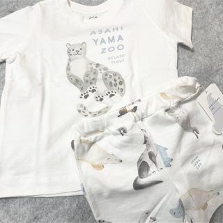 ジェラートピケ(gelato pique)の【新品】ジェラートピケ　旭山動物園 Tシャツ ショートパンツ セットアップ(Ｔシャツ)