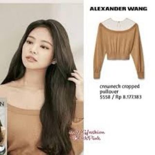 アレキサンダーワン(Alexander Wang)のalexander wang ジェニー着用(ニット/セーター)