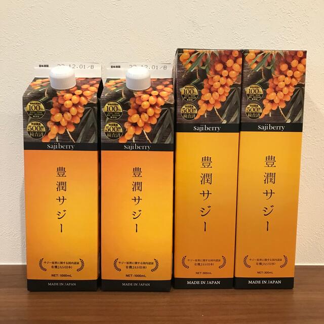 届いたばかり！豊潤サジーお得セットサジーによく合うゆずみつ1本 - その他