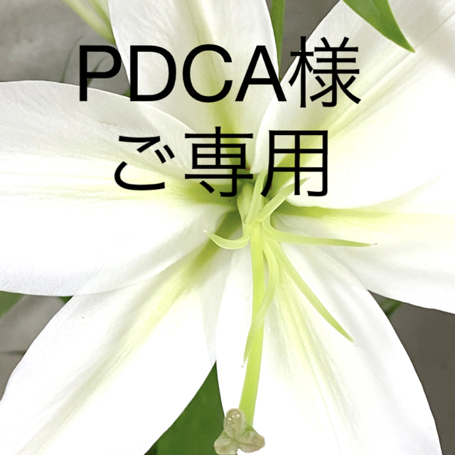 pdca様 出産祝いなども豊富 aleksandra-urman.ch