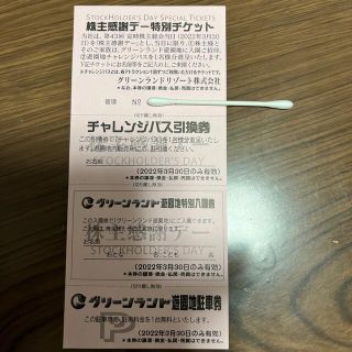 グリーンランド　株主感謝特別チケット　1枚(遊園地/テーマパーク)