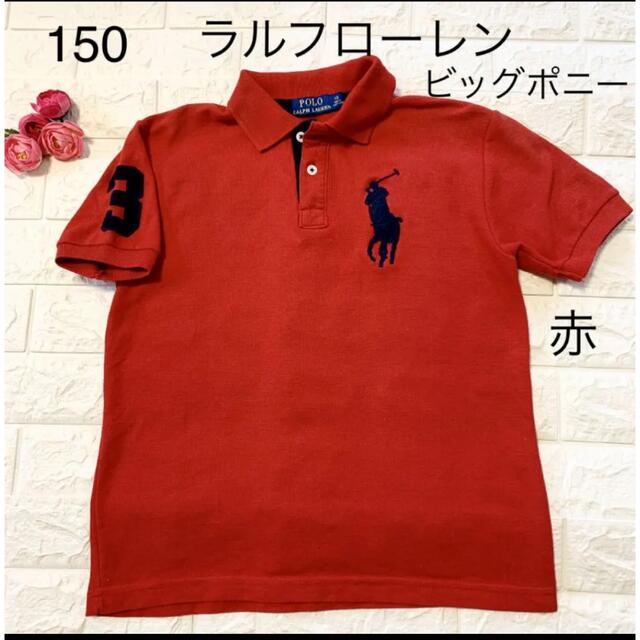 Ralph Lauren(ラルフローレン)の150 12  ラルフローレン　ビッグポニー　赤のポロシャツ キッズ/ベビー/マタニティのキッズ服男の子用(90cm~)(Tシャツ/カットソー)の商品写真