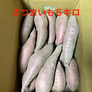 さつまいも５キロ(野菜)