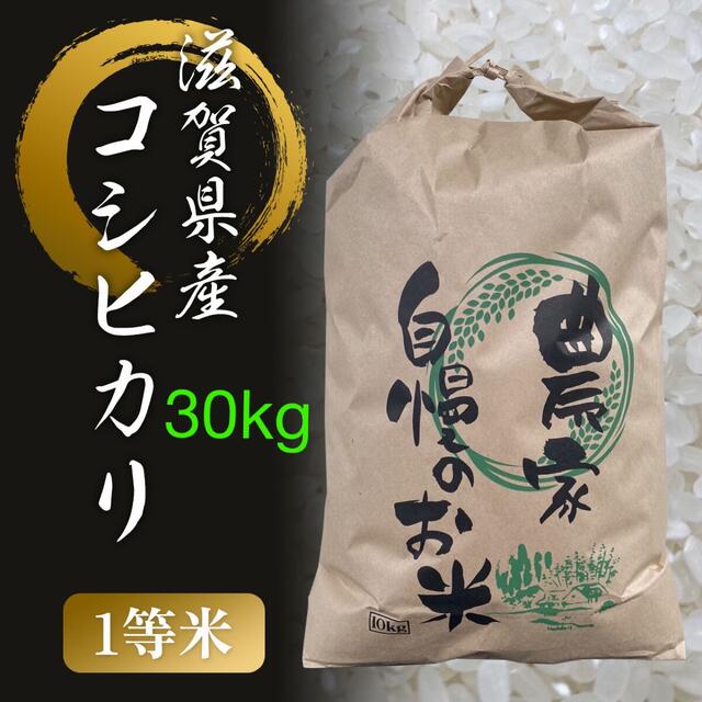 【限定ご奉仕価格】滋賀県産　1等米コシヒカリ　30kg食品/飲料/酒