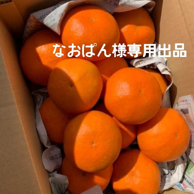 愛媛県産 せとか 甘平半々箱込み約5Kg 柑橘 ミカン