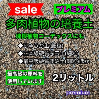 多肉植物の土 サボテンの土 多肉植物用土 塊根植物の土(その他)