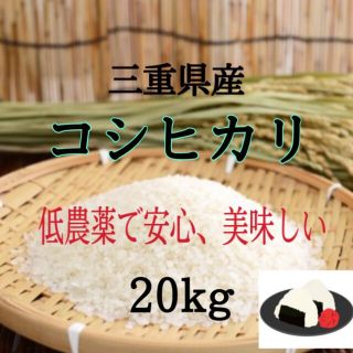 三重県産　コシヒカリ20kg   精米出来ます(米/穀物)