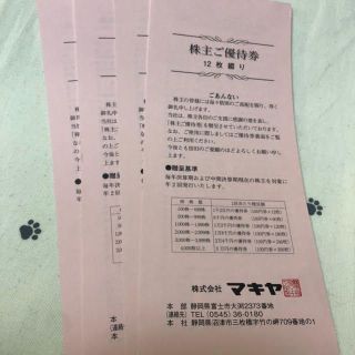 800円分　マキヤ　株主優待券(ショッピング)