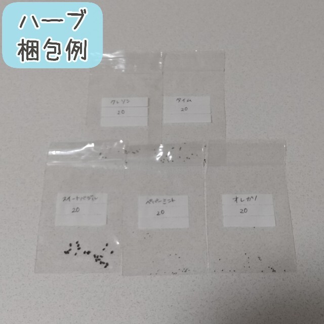 【ハーブのタネ】選べる5種 100粒 種子 種 その他のその他(その他)の商品写真