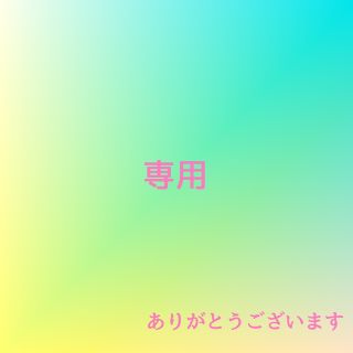 せみしぐれ様専用　結ばない靴ひも 白2個(その他)