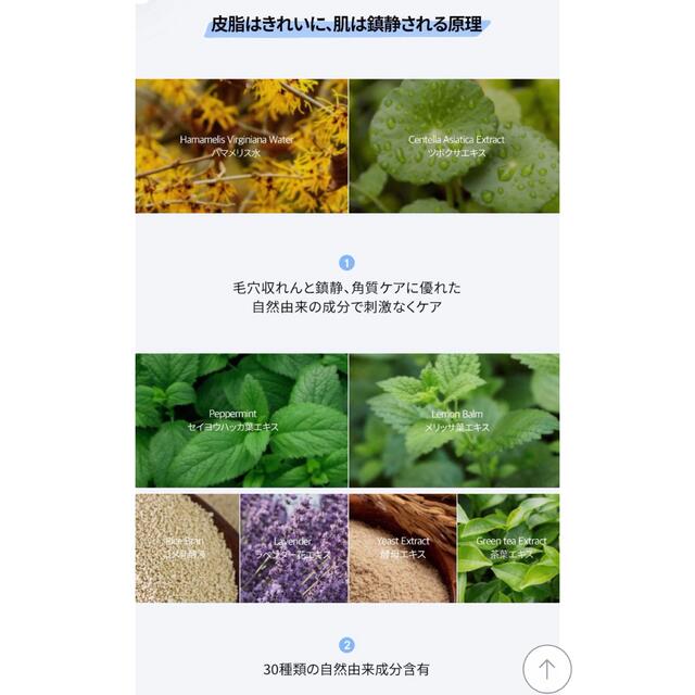 Innisfree(イニスフリー)のワンデイズユー　ノーモアブラックヘッド コスメ/美容のスキンケア/基礎化粧品(パック/フェイスマスク)の商品写真