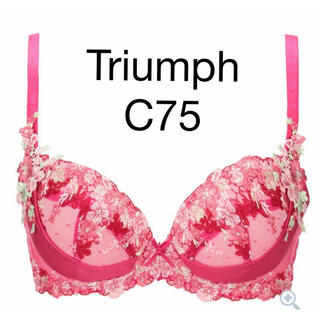 トリンプ(Triumph)のTriumph プレミアムデザイン 天使のブラ スリムライン0050 C75(ブラ)