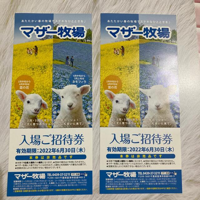 マザー牧場ご招待券✖️2枚　2022/6/30まで チケットの施設利用券(動物園)の商品写真