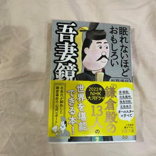 眠れないほどおもしろい吾妻鏡(その他)