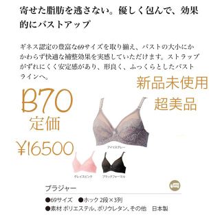 ダイアナ(DIANA)のasuka様用　ダイアナ　下着　ブラジャー　補正下着　ブラ　Diana B70(ブラ)