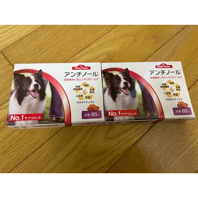 アンチノール  犬用　60カプセル入り2箱新品