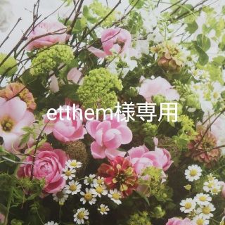 etthem様専用のお品(その他)