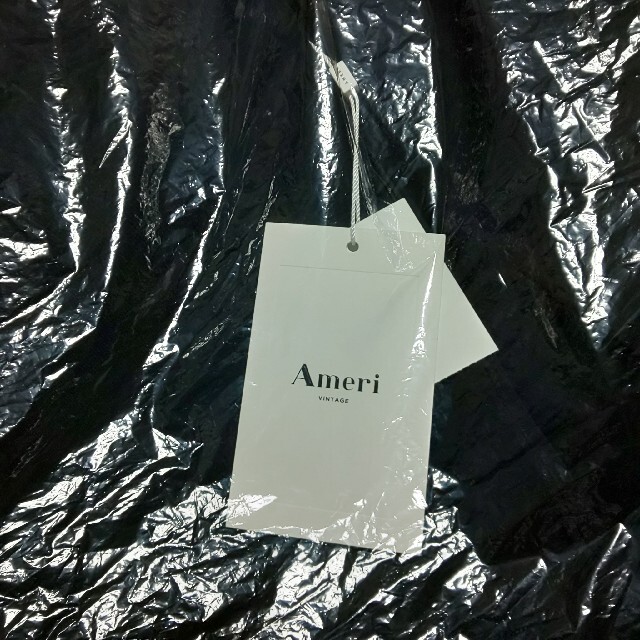 Ameri VINTAGE(アメリヴィンテージ)のameri LONG VEST SET SHEER DRESS レディースのワンピース(ロングワンピース/マキシワンピース)の商品写真