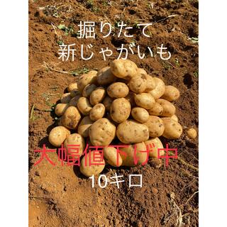 10キロ 馬鈴薯ニシユタカ！徳之島 産　新 じゃがいも(野菜)