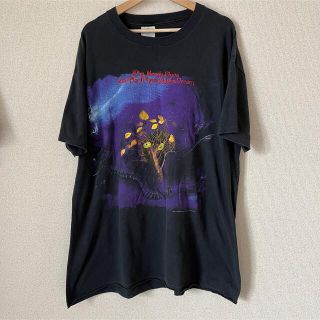 ヘインズ(Hanes)の90s vintage Moody Blues バンT 両面 tシャツ(Tシャツ/カットソー(半袖/袖なし))